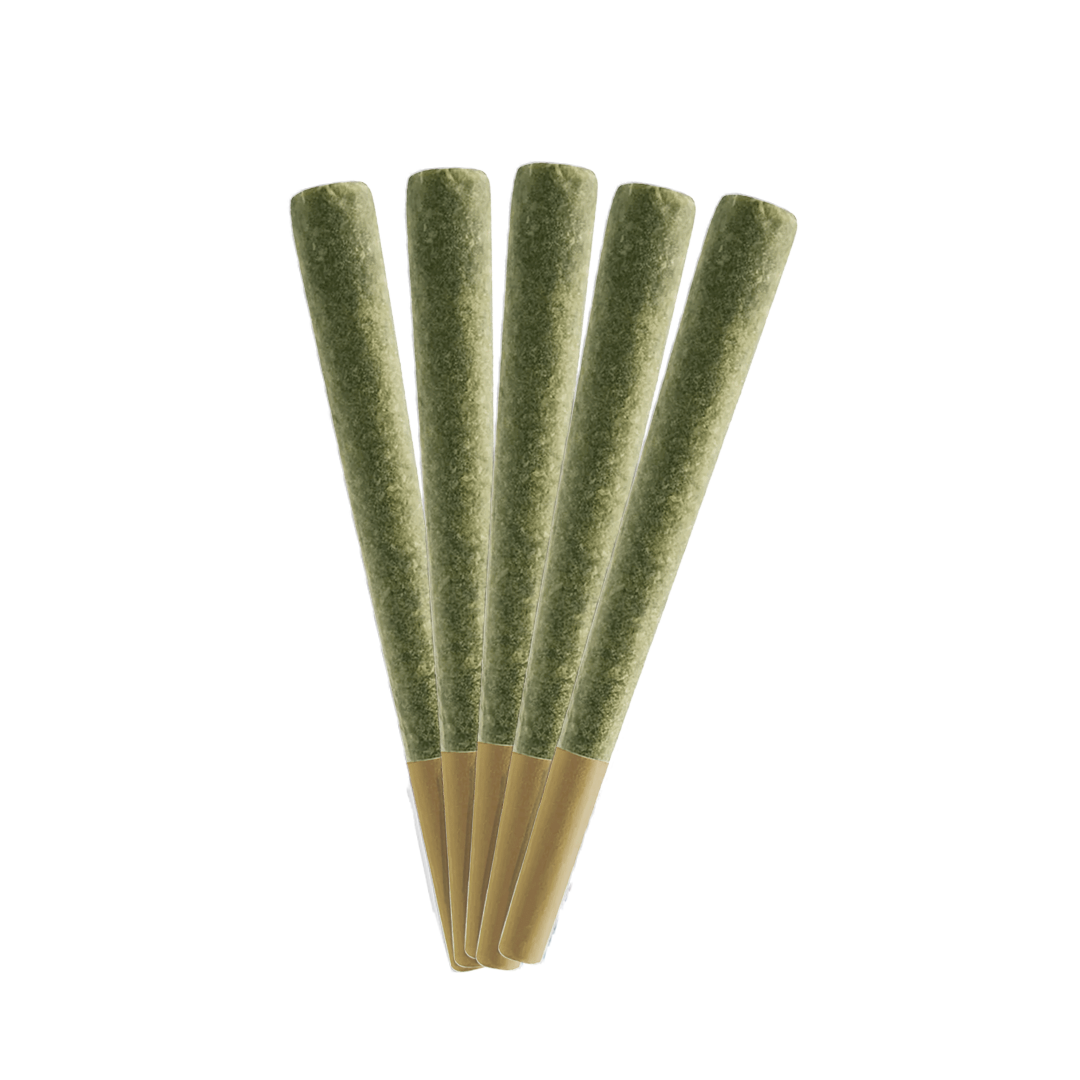 Demon's Desire - 5x0.5g & 10x0.5g Pre-Rolls
